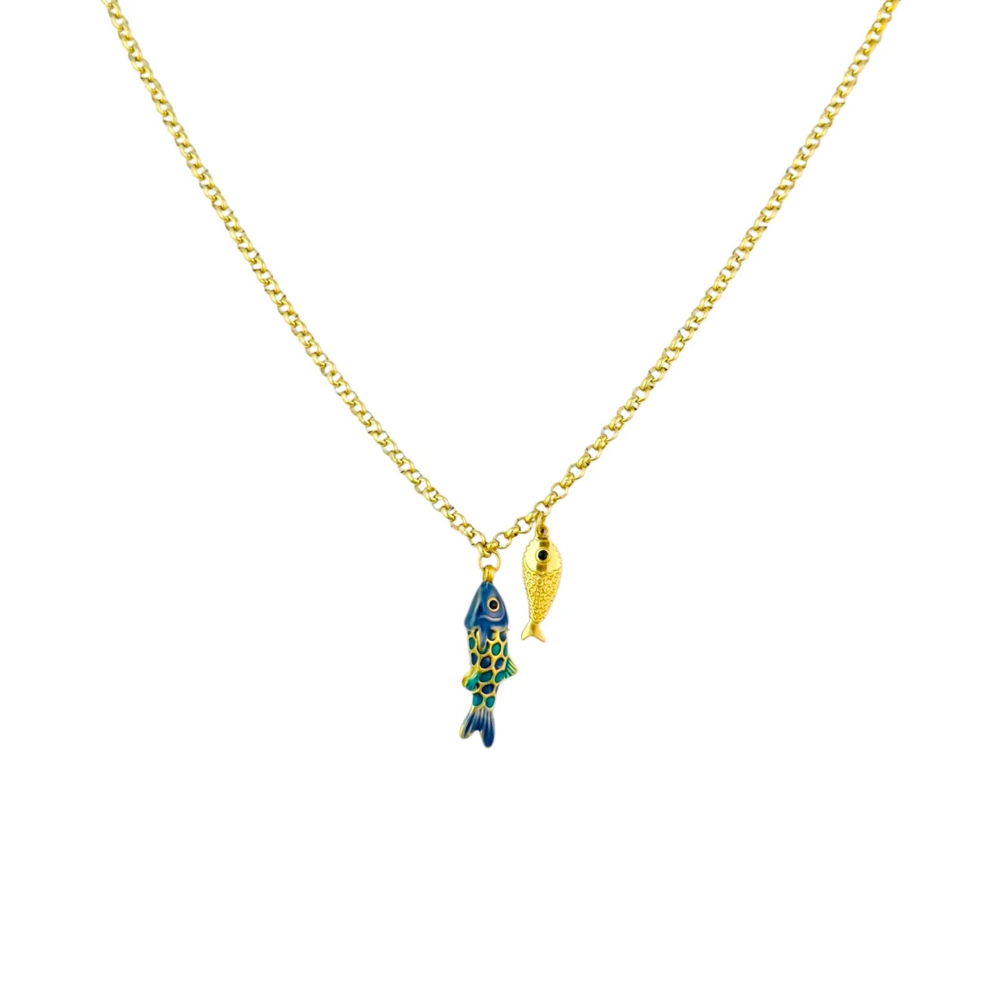Ketting fish - Colour