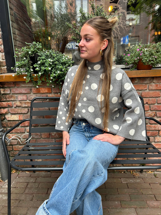 Polka Dots Trui - Grijs